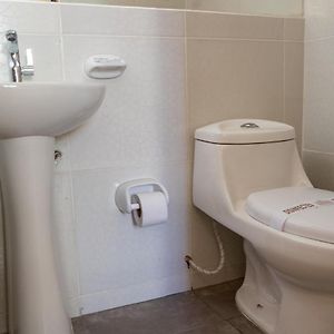 Habitación con Cama King